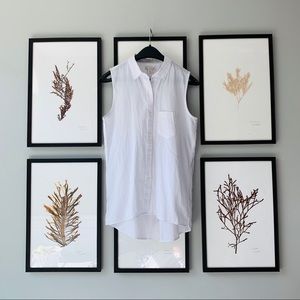 Gap White Cotton Collared Button-Up Tank XS